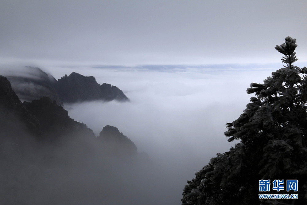 安徽黄山：流云度山海 飞雪又春风