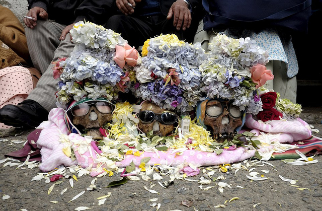 玻利维亚人装扮死人头骨祈福 为其戴帽子鲜花