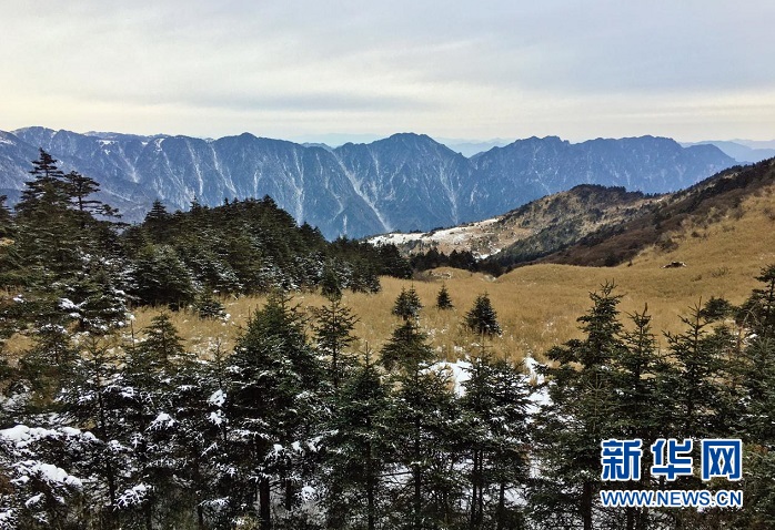 雪后神农架 尽显静谧美