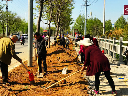 【河南供稿】三门峡市卢氏县首条城市生态健康步道将在“五一”前建成