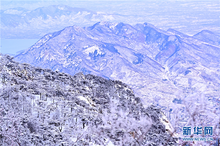 泰山雾凇与白雪相辉映