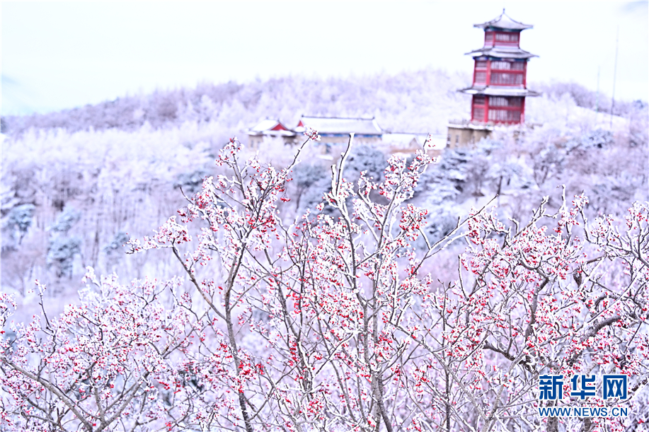 泰山雾凇与白雪相辉映