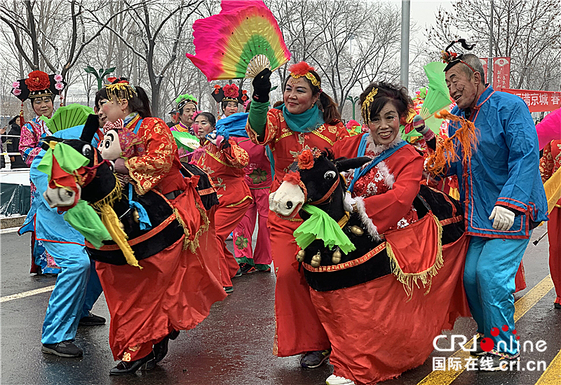 Beijing Yanqing 2019 Lantern Festival Flower Fair was launched