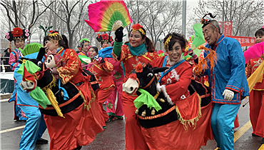 Yanqing 2019 Lantern Festival Flower Fair was launched_fororder_5_副本