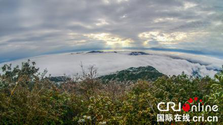 桂西之巅冬日别有一番风景