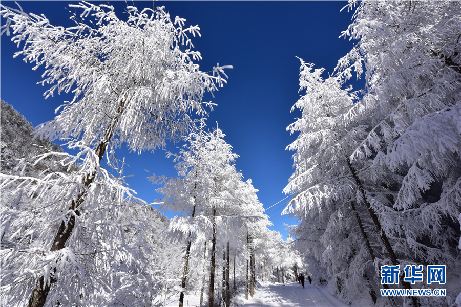 冬季到神农架邂逅一场冰雪奇缘