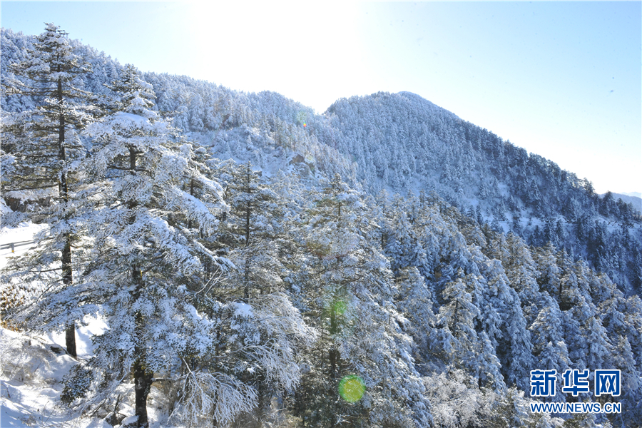 冬季到神农架邂逅一场冰雪奇缘