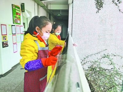 全校学生参与“我们的劳动日” 小学生期末交走心的“劳动作业”