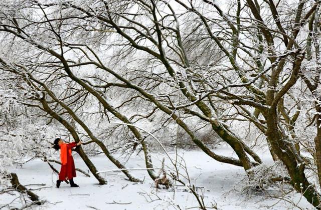 随州大洪山变成绝妙冰雪世界