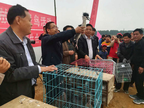 【河南供稿】河南省南阳市举办“爱鸟周”活动