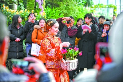 你闻过有巧克力味的兰花吗？快去武汉植物园看珍稀兰花展