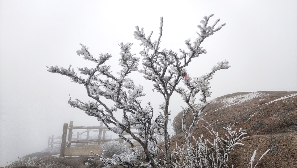 腊八送祝福，崂山巨峰迎“羽毛雪”