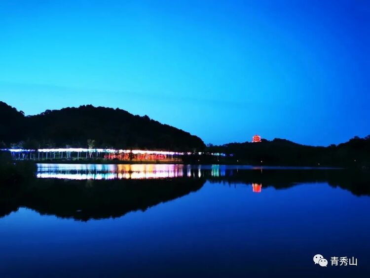 新场景、新玩法，来青秀山欣赏不一样的邕城夜景