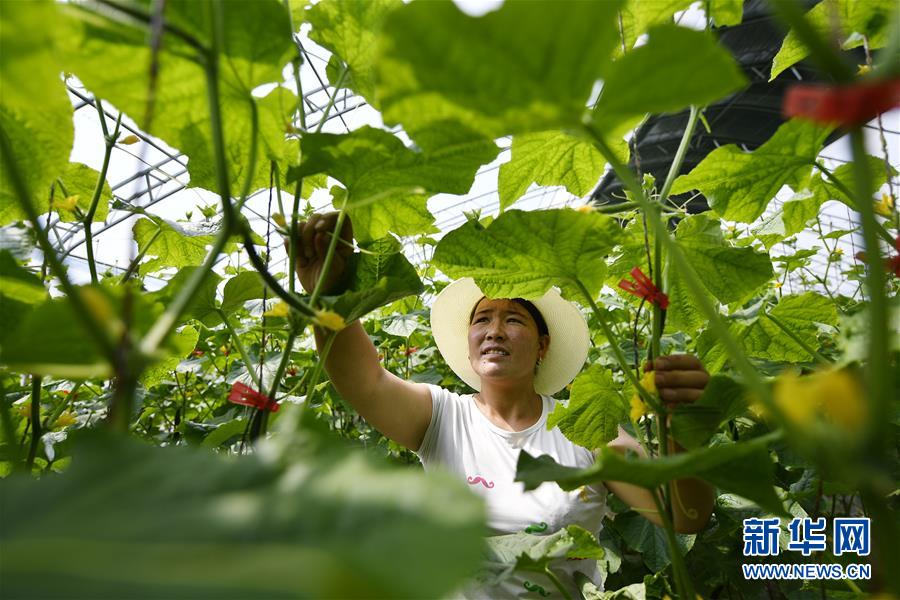 从大山深处到大河之畔——宁夏持续移民百万“拔穷根”启示