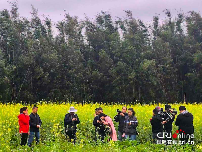 防城港东兴：油菜花带动乡村旅游热 村民年人均纯收入达6000元