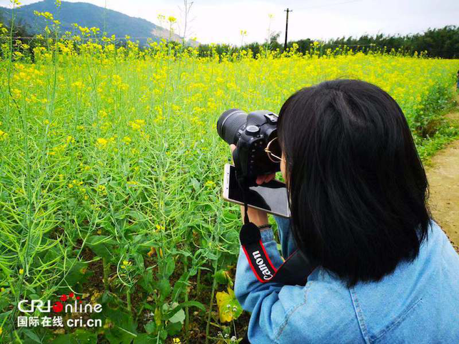 防城港东兴：油菜花带动乡村旅游热 村民年人均纯收入达6000元