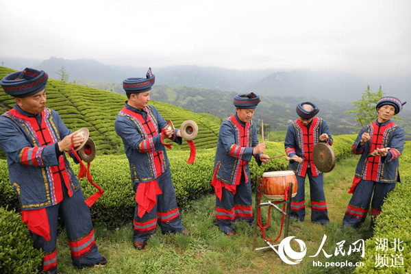 湖北鹤峰：生态茶园展非遗