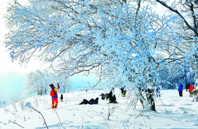 创新理念打造品牌 推动冰雪旅游高质量发展