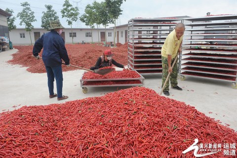 图片默认标题_fororder_1_副本