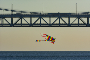 Kite