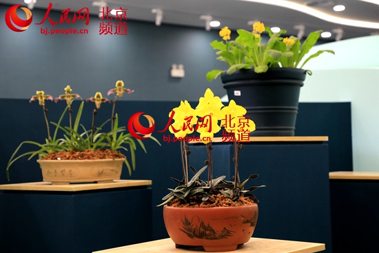 北京植物园神州奇珍展亮相北京世园会