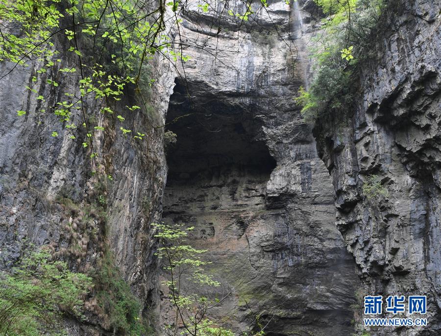 走近陕西宁强地洞河天坑