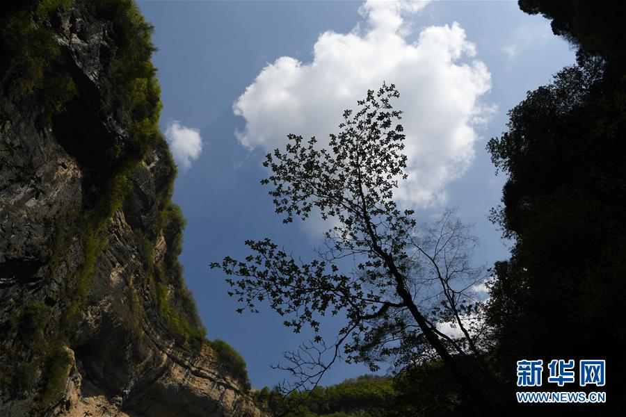 走近陕西宁强地洞河天坑