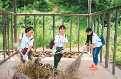 让亚洲象大摇大摆“跨境游”