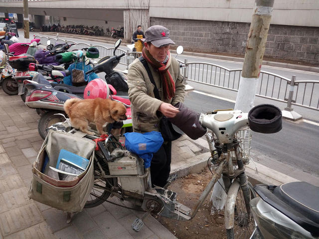 郑州一男子随身带爱犬送快递 小狗帮忙看车