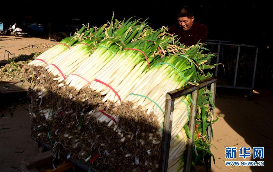 河南春节市场农产品供应充足