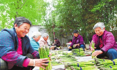 【河南好项目-图片】濮阳特色种植助脱贫