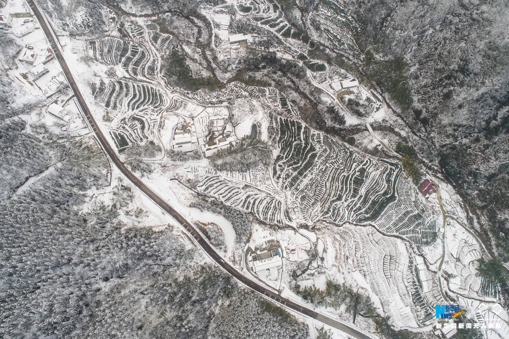 安徽金竹坪村：冰雪大别山