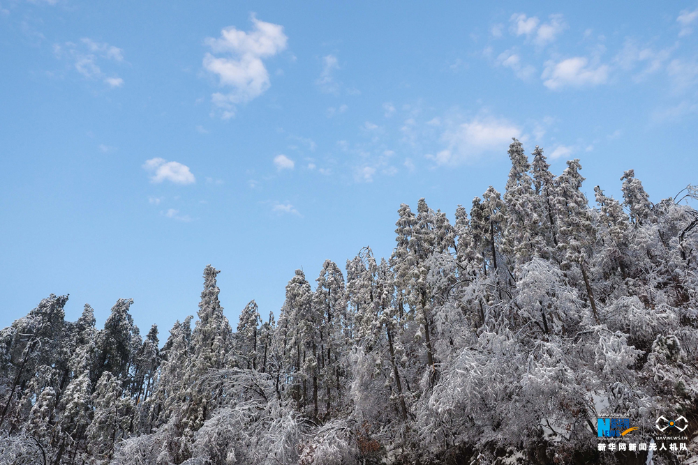 安徽金竹坪村：冰雪大别山