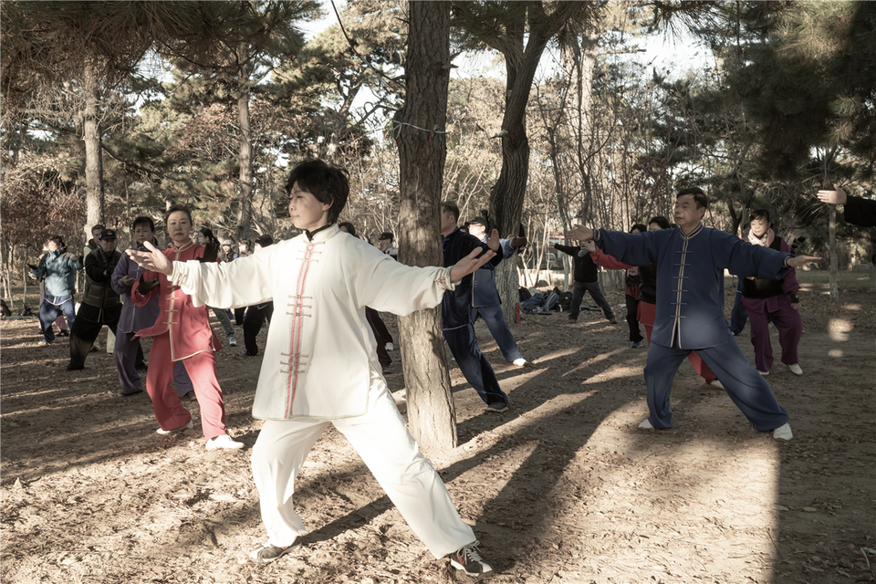 【图片专题】太极_fororder_太极 魏翔Wei Xiang.   Morning exercise 2019 Shenyang