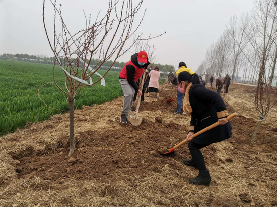 【河南供稿】平顶山市宝丰县：最是一年春光好 植树添绿正当时