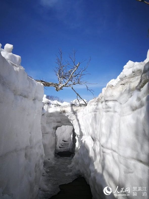 凤凰山建成100米长的冰雪隧道 五月可玩雪