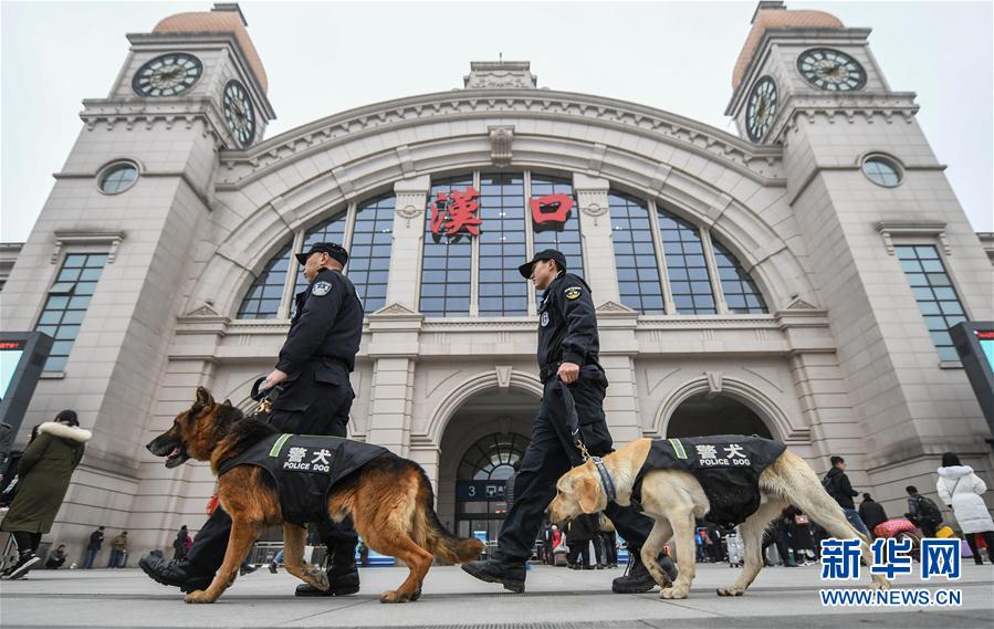 警犬“皮特”备战它的首个春运