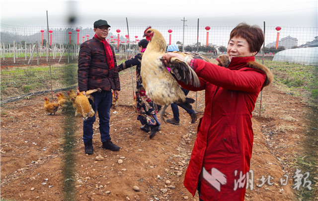 宜昌：城乡年味浓