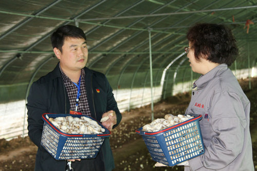 【河南供稿】平顶山市宝丰县种植特色农作物 助民增收