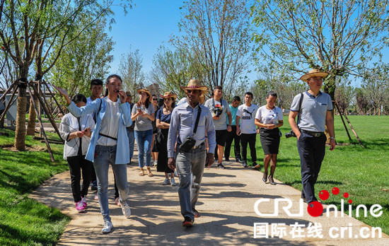 （未审核）【旅发大会专题】【焦点资讯】【文字列表】中外记者体验中国葡萄酒文化 百年葡萄树引关注