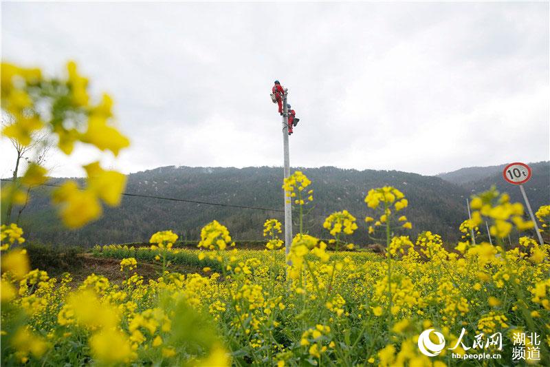 湖北：全省首个农村配网项目复工建设