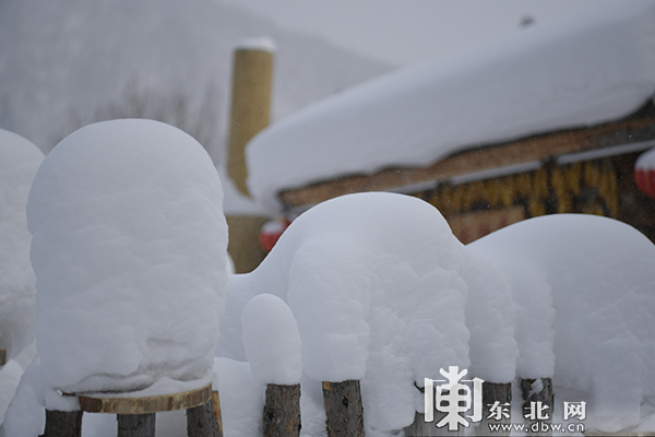 大雪过后 雪乡的雪蘑菇又“长”胖了