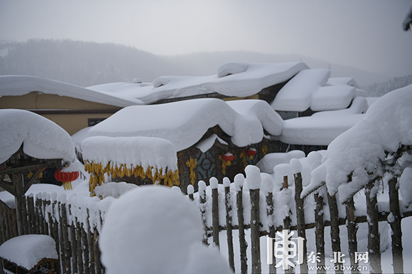 大雪过后 雪乡的雪蘑菇又“长”胖了