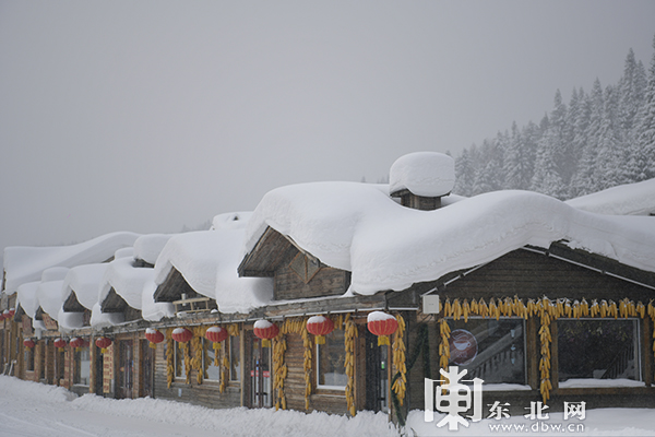 大雪过后 雪乡的雪蘑菇又“长”胖了