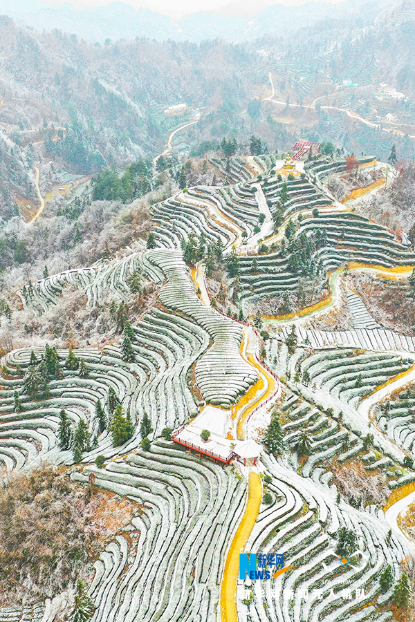 航拍湖北宜昌：雪后茶乡分外美