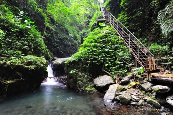 宜兰：泰雅族土著的神山 迷雾下的森林之美