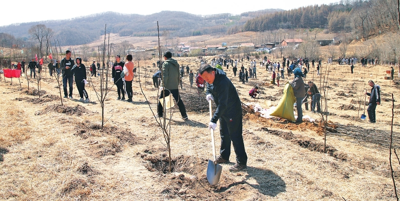 辽源：绿染大地绘锦绣