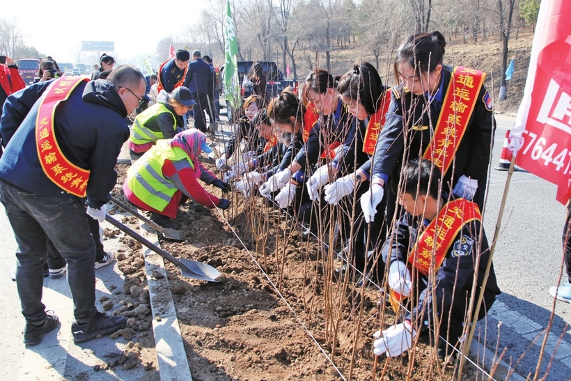 辽源市交通运输局全面推进干线公路绿美化工程