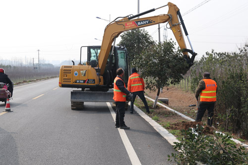 【河南供稿】平顶山市宝丰县：公路靓了 路域美了