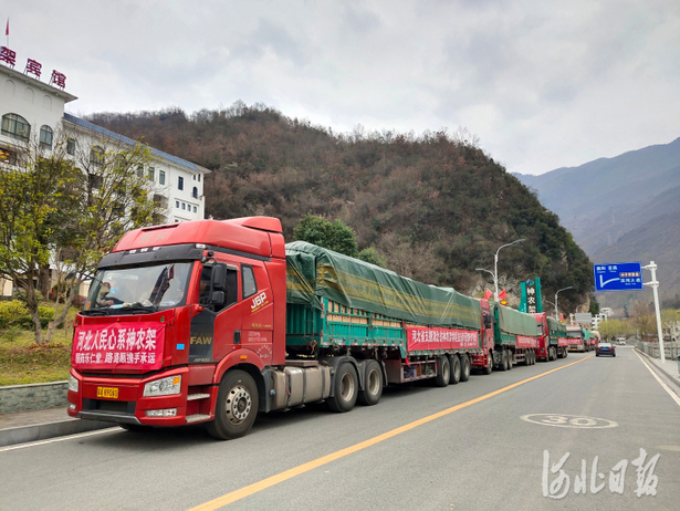 300吨！河北向神农架林区紧急调拨84消毒液